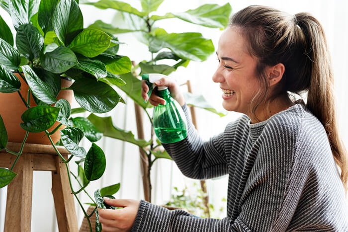 How to Care for a Christmas Cactus Houseplant? Do Not Kill Your Plant! 6 10+1 Best House Plants to Create a Calm Place at Home