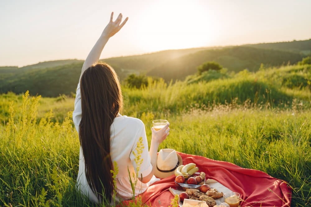 summer picnic summer picnic