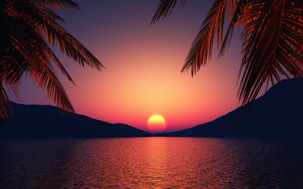 sunset sunset