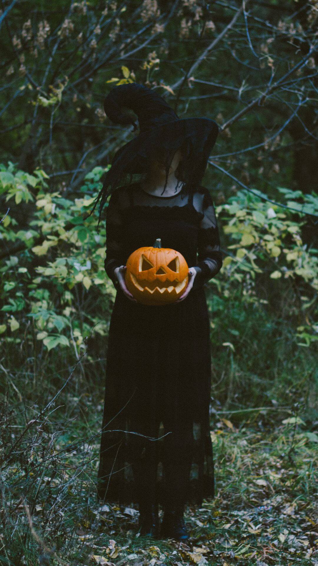 halloween phone wallpaper witch and pumpkin halloween phone wallpaper witch and pumpkin