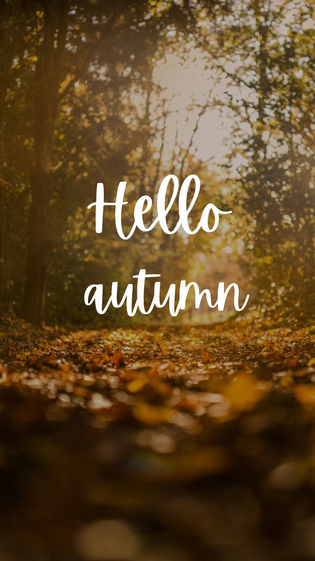 hello autumn nature phone wallpaper