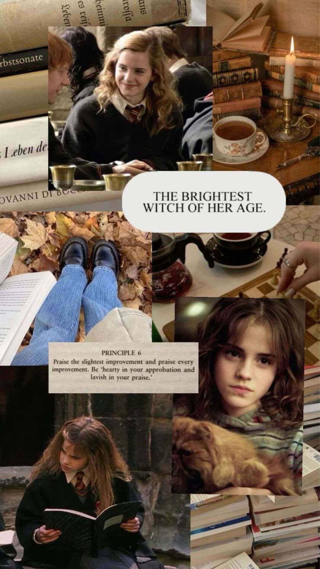 Hermione Granger Study Motivation