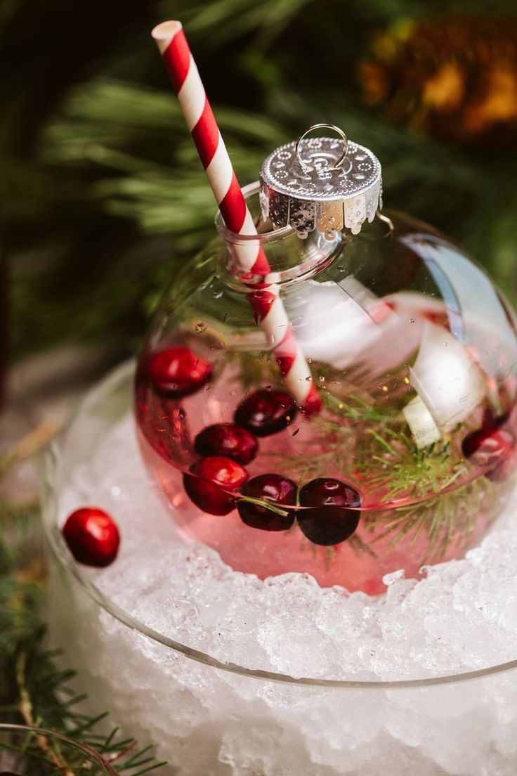 Cranberry gin fizz in christmas ornament Cranberry gin fizz in christmas ornament