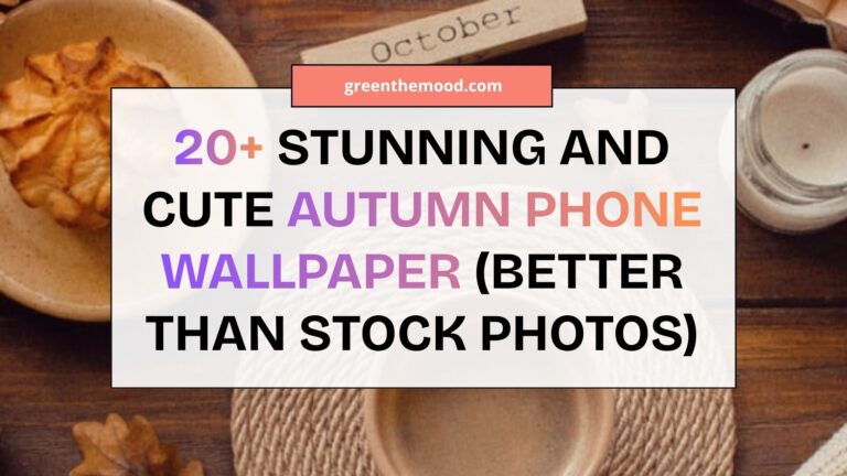 20+ stunning and cute autumn phone wallpaper (better than stock photos)